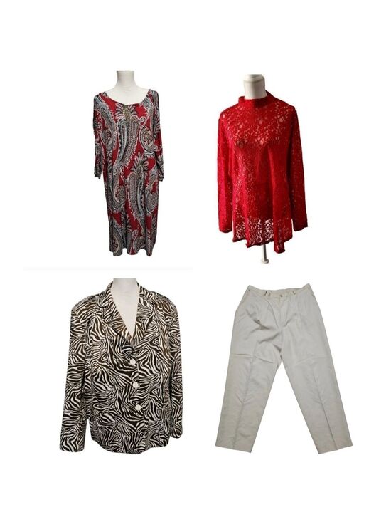 Mixed Brands Dresses & Skirts - Plus Size Bundle 4 Pc Lane Bryant Briggs John Meyer est 1946 Size 22/24W